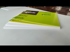 Panneaux creux en plastique