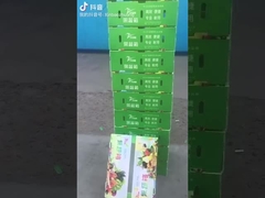 Boîte à fruits et légumes