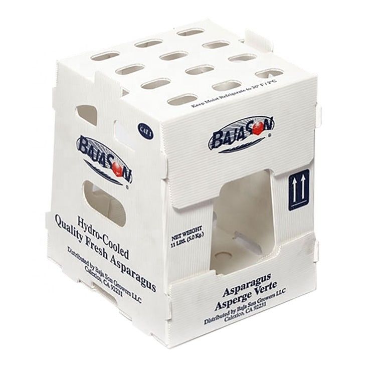 OEM usine produire PP boîte ondulée en plastique pour le maïs doux frais brocoli aubergine boîte de gingembre