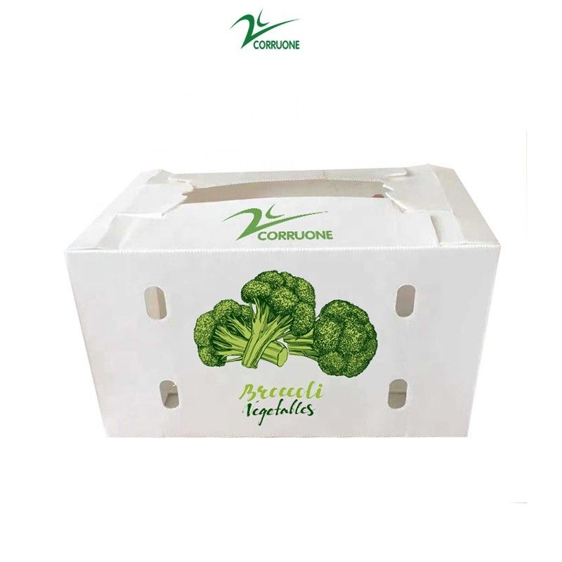 Personnaliser une boîte en plastique ondulé écologique pour le brocoli et le maïs boîte correx maïs brocoli et emballage agricole