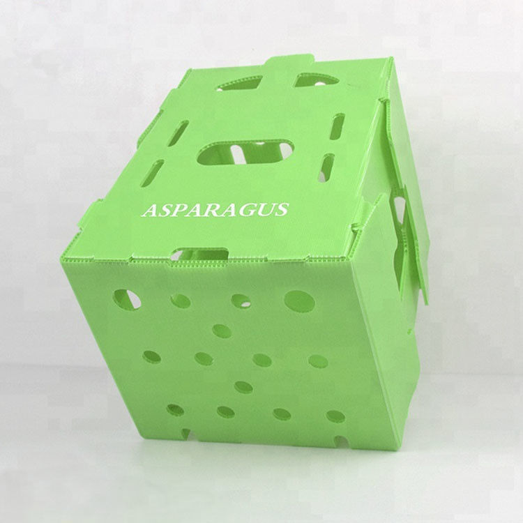 Personnaliser une boîte en plastique ondulé écologique pour le brocoli et le maïs boîte correx maïs brocoli et emballage agricole