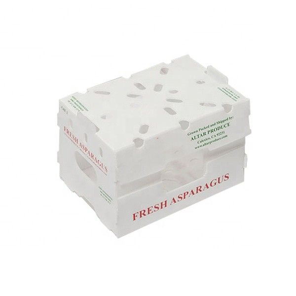 Boîte à fruits Correx Boîte en plastique ondulé en PP pour les légumes et l'agriculture Boîte à emballer