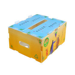 Boîte à fruits Correx Boîte en plastique ondulé en PP pour les légumes et l'agriculture Boîte à emballer
