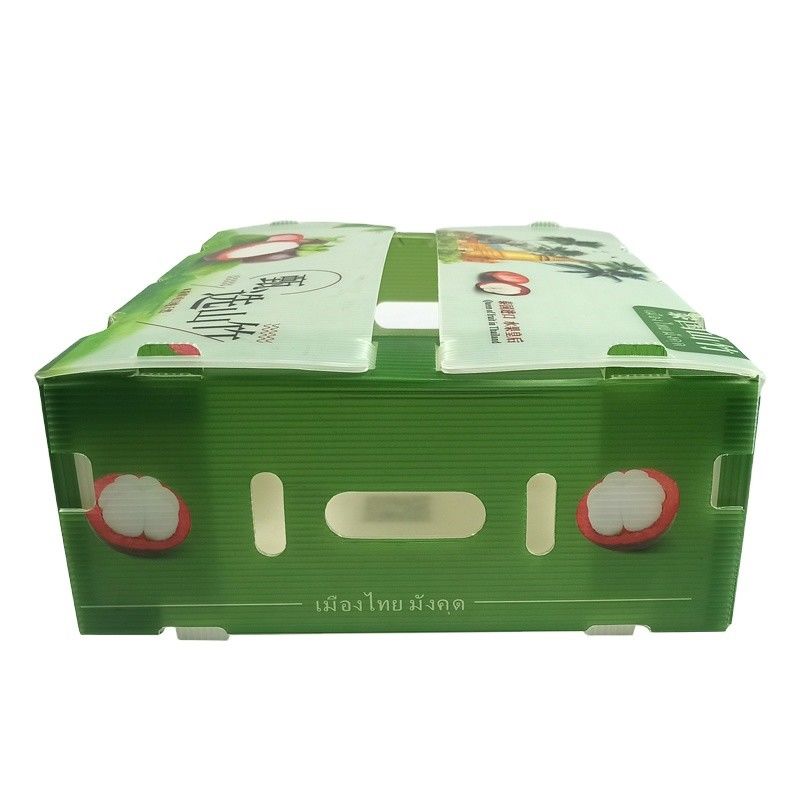 Boîte à fruits et légumes en plastique pliable