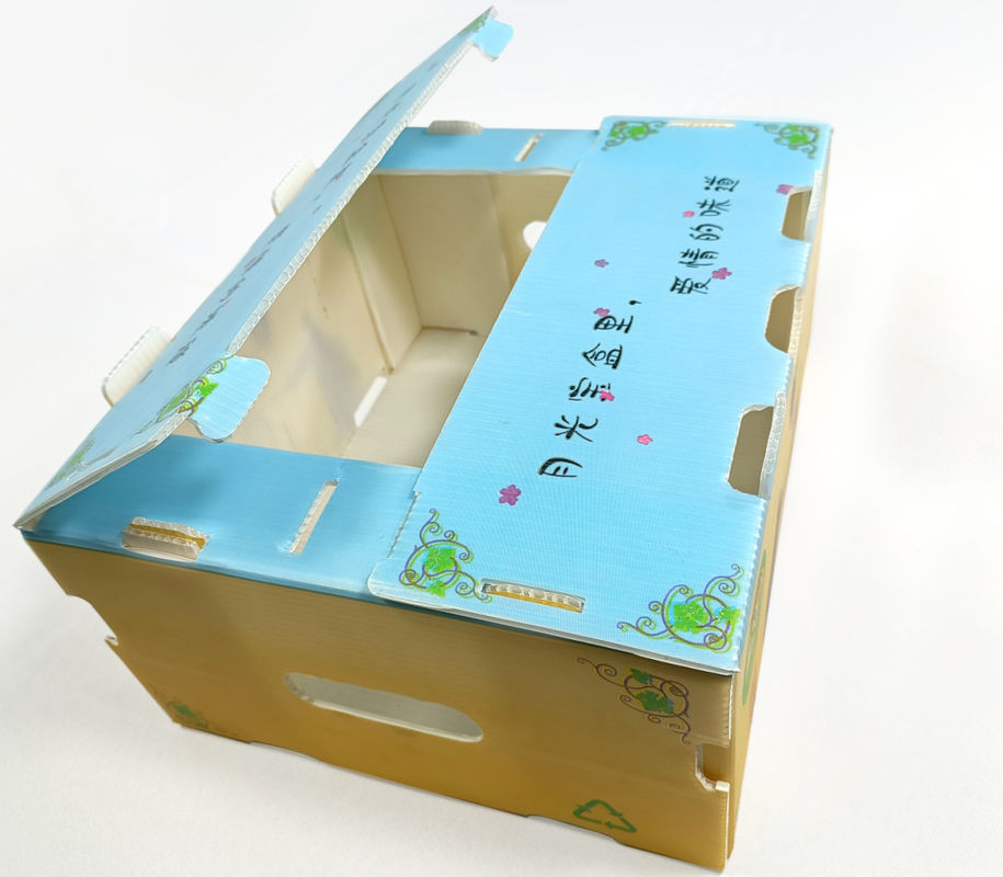 Emballage de fruits et légumes en carton PP en plastique Boîtes d'emballage de raisins Boîtes de brocoli en plastique Feuille de gingembre ondulée