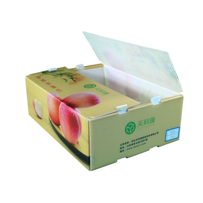 Boîtes en plastique PP en plastique ondulé pour les légumes et les fruits