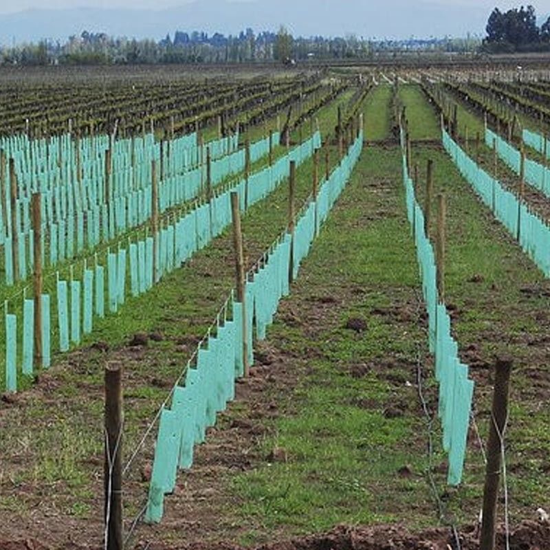 protecteurs de tronc de Green Plastic Tree de garde d'arbre de 1.5mm pp Corflute