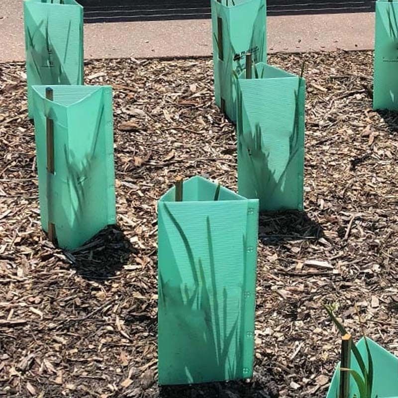 protecteurs de tronc de Green Plastic Tree de garde d'arbre de 1.5mm pp Corflute
