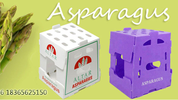 Emballage sur mesure pour les fruits et légumes Boîte en plastique ondulée Boîtes d'emballage en PP pour stockage ondulé