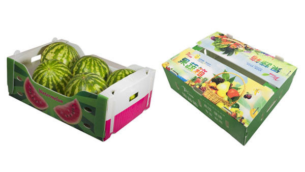 Emballage sur mesure pour les fruits et légumes Boîte en plastique ondulée Boîtes d'emballage en PP pour stockage ondulé