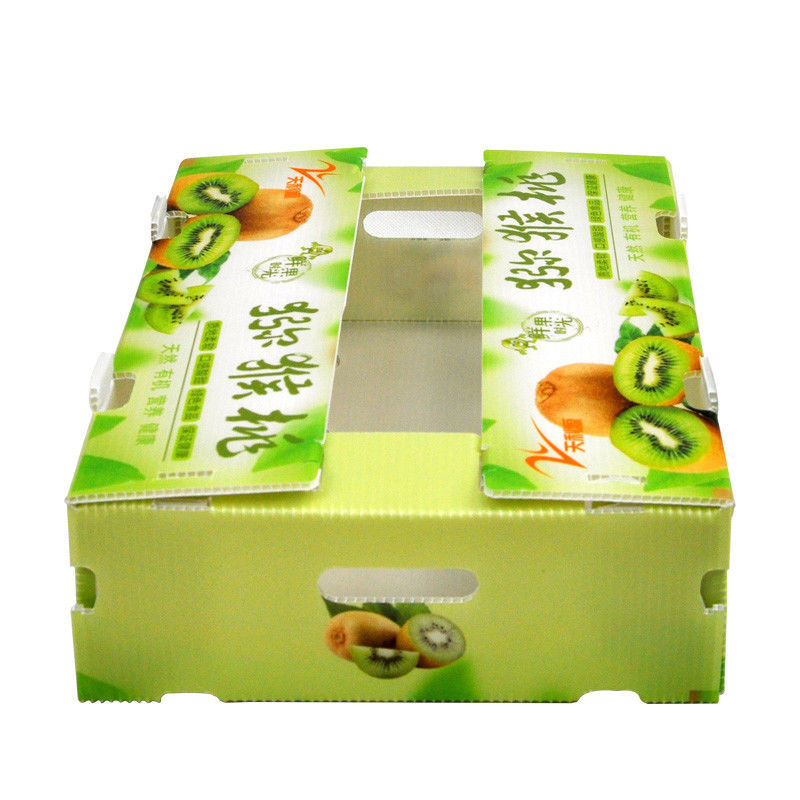 Emballage sur mesure pour les fruits et légumes Boîte en plastique ondulée Boîtes d'emballage en PP pour stockage ondulé