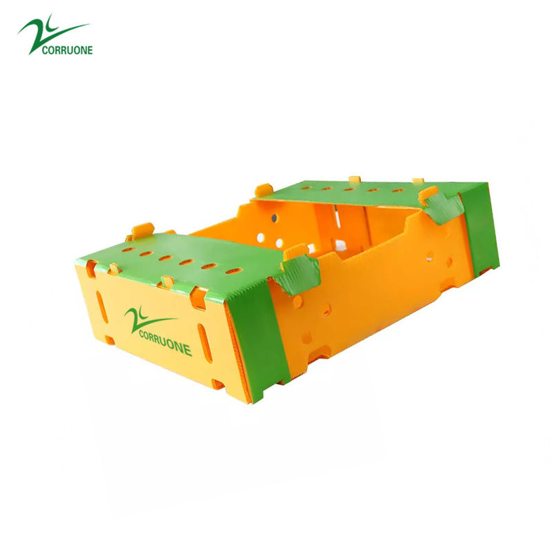 Corruone Plastique pliable en PP ondulé Danpla Boîte en polypropylène Boîtes en feuille de plastique ondulée Boîte de rangement