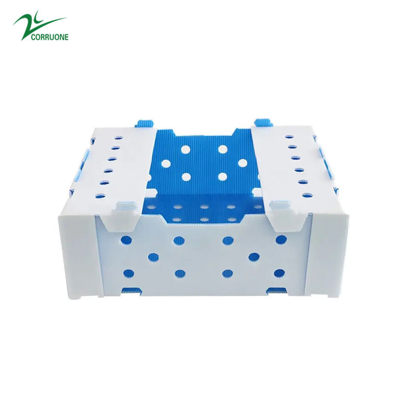 1.5mm-30mm pp a ridé vert-bleu blanc de boîtes de conditionnement en plastique