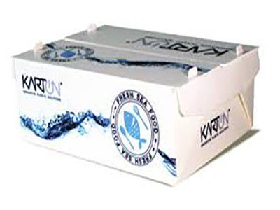 Corruone PP polypropylène 5 KG & 10 KG Boîtes d'emballage de viande congelée ou de fruits de mer imperméables sur mesure Boîte en plastique ondulée de fruits de mer