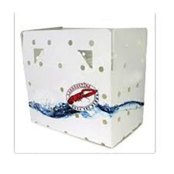 Corruone PP polypropylène 5 KG & 10 KG Boîtes d'emballage de viande congelée ou de fruits de mer imperméables sur mesure Boîte en plastique ondulée de fruits de mer