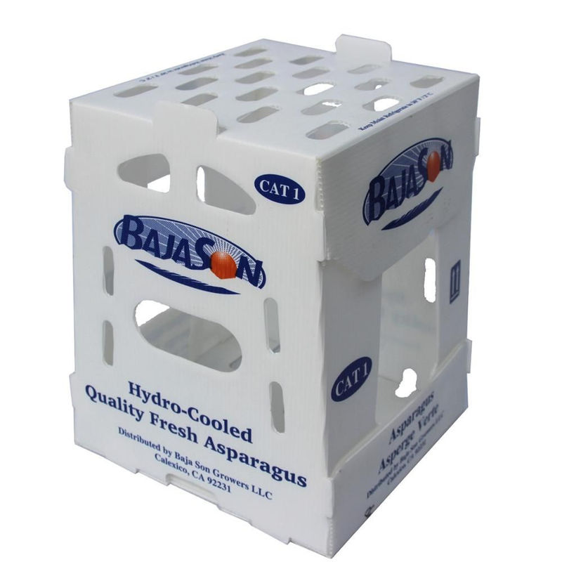 boîtes en plastique de 5mm 6mm Correx pp pour des fruits et légumes