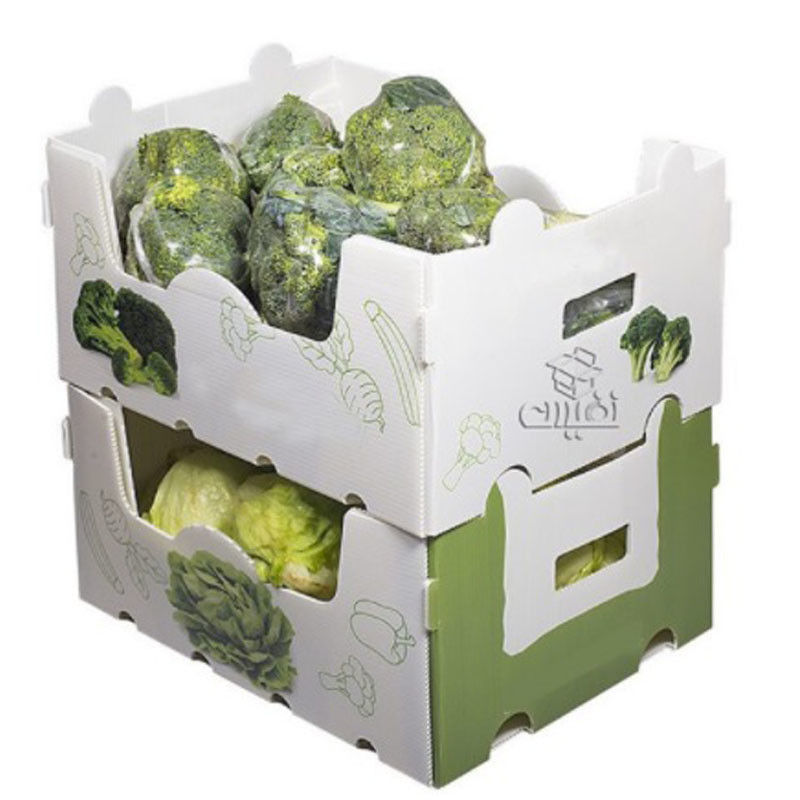 boîtes en plastique de 5mm 6mm Correx pp pour des fruits et légumes