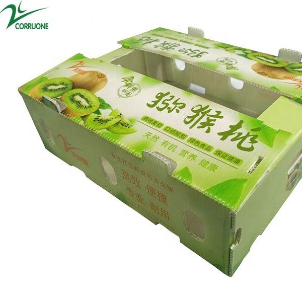 Les épinards ont ridé le produit en plastique enferment dans une boîte des boîtes de rangement de 2mm Corflute