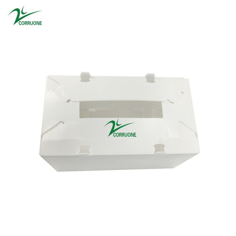 Les épinards ont ridé le produit en plastique enferment dans une boîte des boîtes de rangement de 2mm Corflute