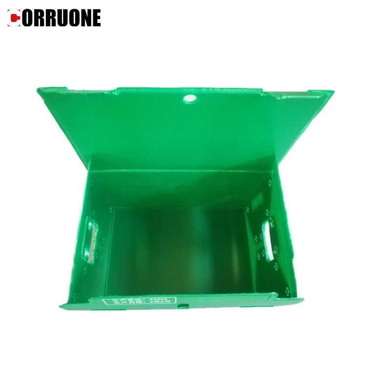 Correx imperméable pp a ridé les boîtes de rangement épaisses de la boîte 12mm Corflute
