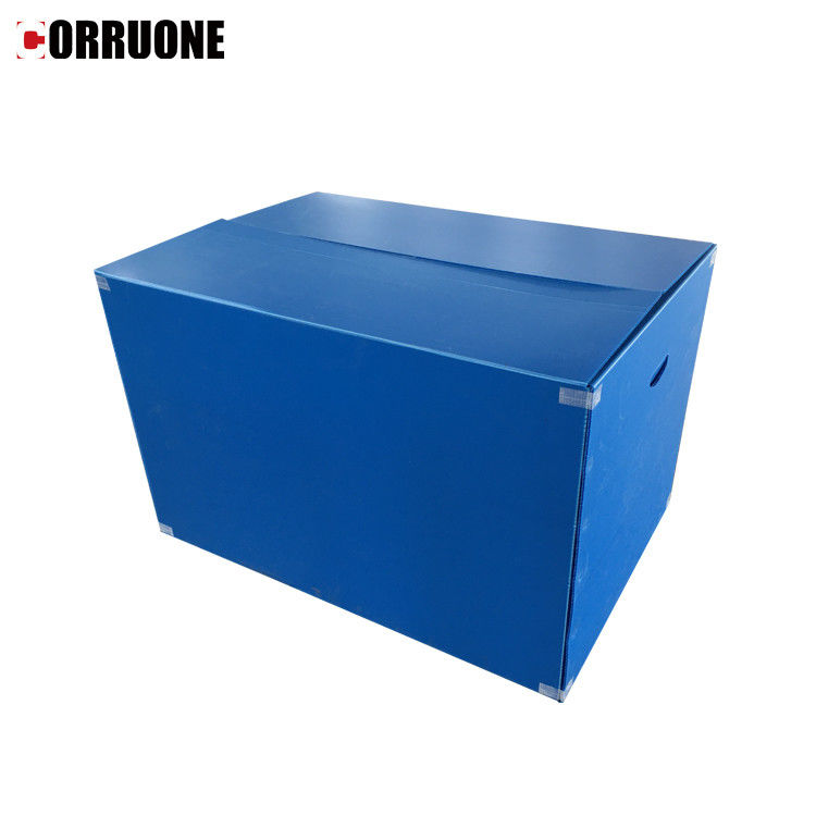 Correx imperméable pp a ridé les boîtes de rangement épaisses de la boîte 12mm Corflute