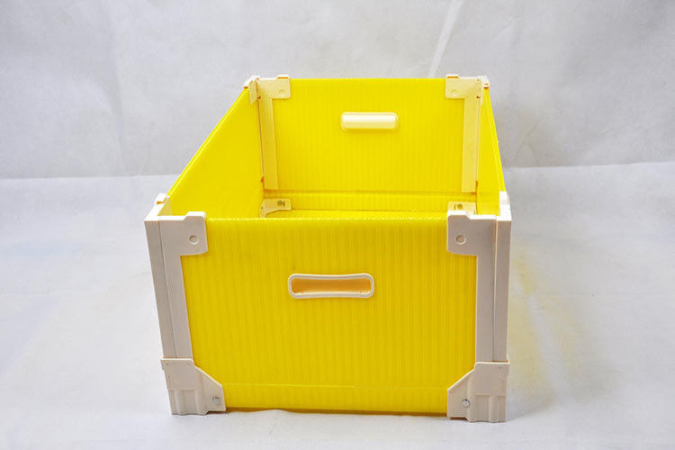 Correx imperméable pp a ridé les boîtes de rangement épaisses de la boîte 12mm Corflute