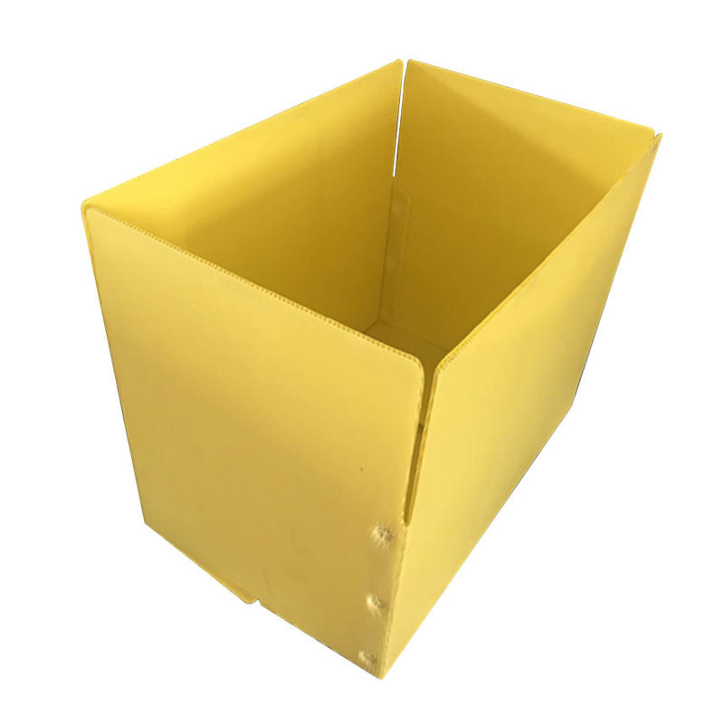 L'asperge jaune Correx pp a ridé des boîtes de rangement de la boîte 3.5mm Corflute