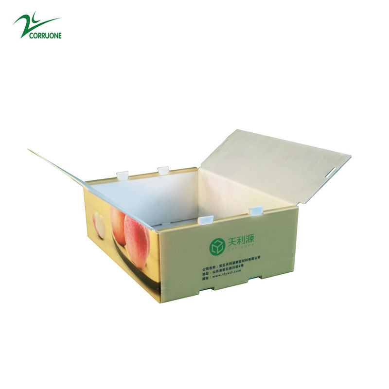 Conteneur ondulé de Corflute de catégorie comestible de boîte de Twinwall pp pour des légumes fruits