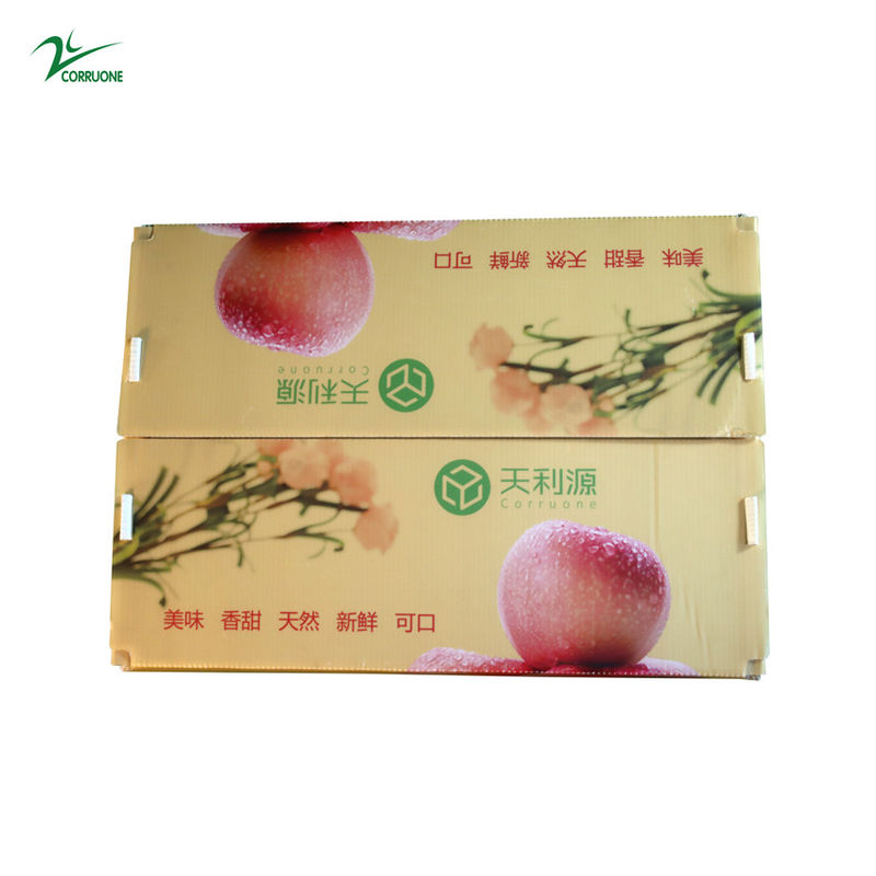 Conteneur ondulé de Corflute de catégorie comestible de boîte de Twinwall pp pour des légumes fruits