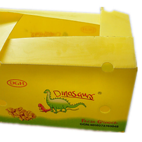 Emballage de fruits et légumes en carton PP en plastique Boîtes d'emballage de raisins Boîtes de brocoli en plastique Feuille de gingembre ondulée