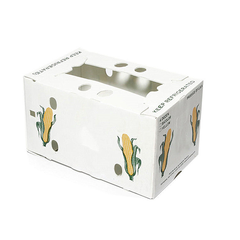Boîte en plastique ondulé en PP pour les légumes et les fruits Boîte de maïs brocoli et boîte d'emballage agricole