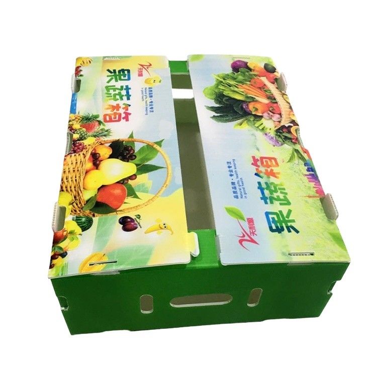 Nouvelle boîte en plastique ondulé en PP 2023 pour boîtes de légumes et de fruits
