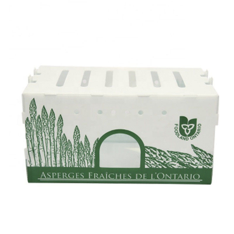Boîte en plastique ondulé en PP pour les légumes et les fruits Boîte de maïs brocoli et boîte d'emballage agricole