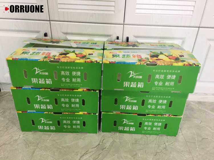 Boîte en plastique ondulé en PP pour les légumes et les fruits Boîte de maïs brocoli et boîte d'emballage agricole