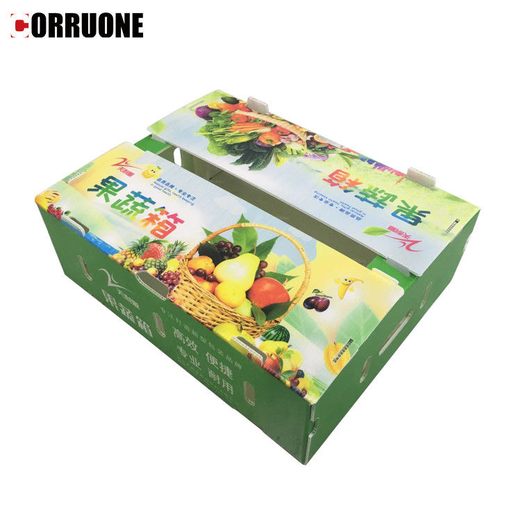 Boîte en plastique ondulé en PP pour les légumes et les fruits Boîte de maïs brocoli et boîte d'emballage agricole