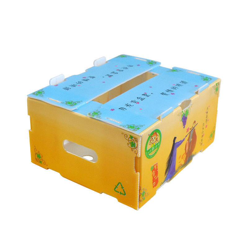 Le maïs de Correx que le légume a ridé des boîtes a ridé les cartons d'expédition en plastique