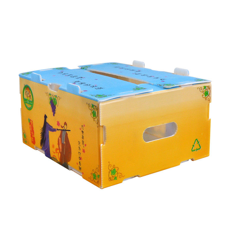 Le maïs de Correx que le légume a ridé des boîtes a ridé les cartons d'expédition en plastique