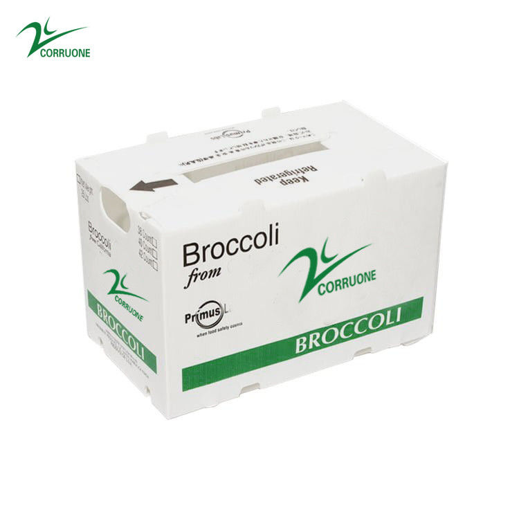 La mangue de PE de pp a ridé des boîtes de rangement de Corflute de polypropylène de boîte
