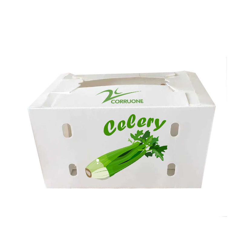 Nouvelle boîte en plastique ondulé 2023 pour les fruits et légumes à bas prix