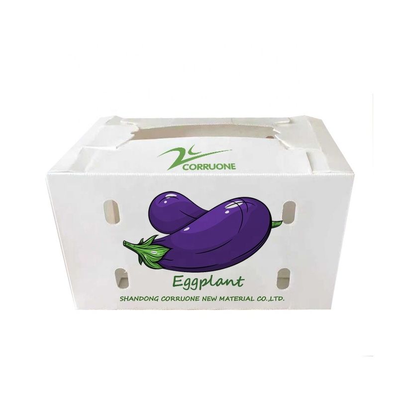Boîte ondulée de nid d'abeilles de boîtes de rangement de Corflute de brocoli pour des fruits