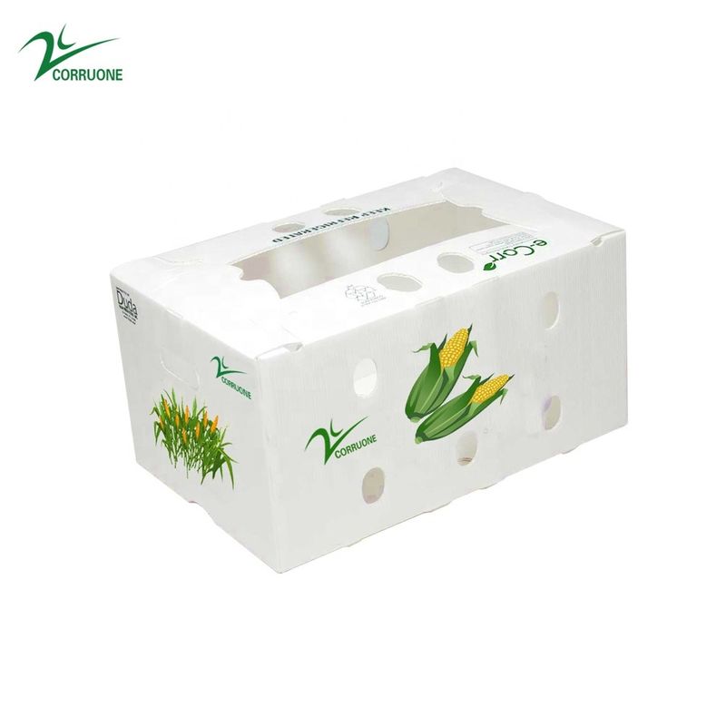 Boîte ondulée de nid d'abeilles de boîtes de rangement de Corflute de brocoli pour des fruits