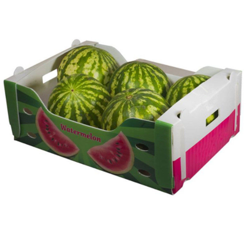 Le légume de boîte de Corflute de maïs a ridé la taille faite sur commande recyclable de boîtes