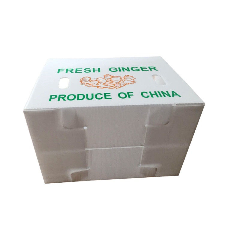 Emballage de fruits et légumes en carton PP en plastique Boîtes d'emballage de raisins Boîtes de brocoli en plastique Feuille de gingembre ondulée
