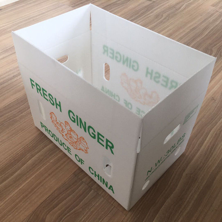 Emballage de fruits et légumes en carton PP en plastique Boîtes d'emballage de raisins Boîtes de brocoli en plastique Feuille de gingembre ondulée