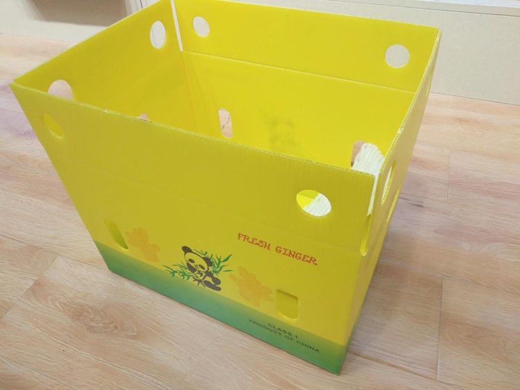la boîte ondulée Cartonplast à mangue de 3.5mm a ridé des boîtes pour l'emballage de fruit