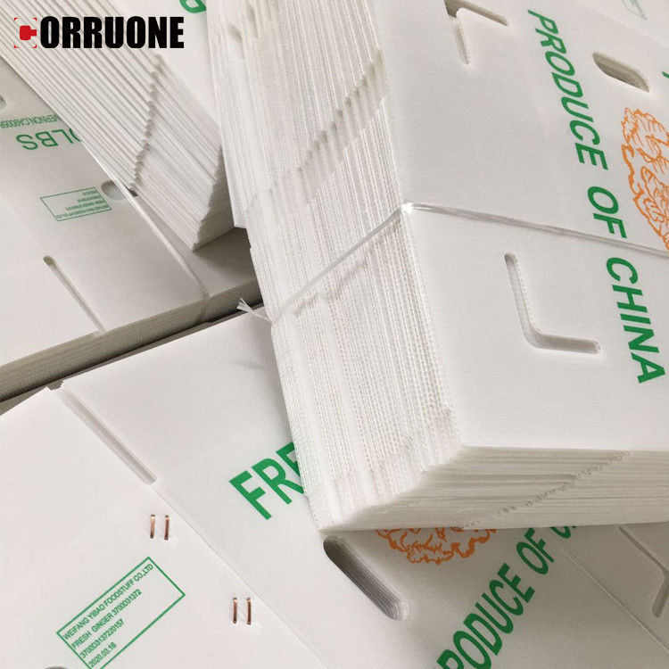 la boîte ondulée Cartonplast à mangue de 3.5mm a ridé des boîtes pour l'emballage de fruit