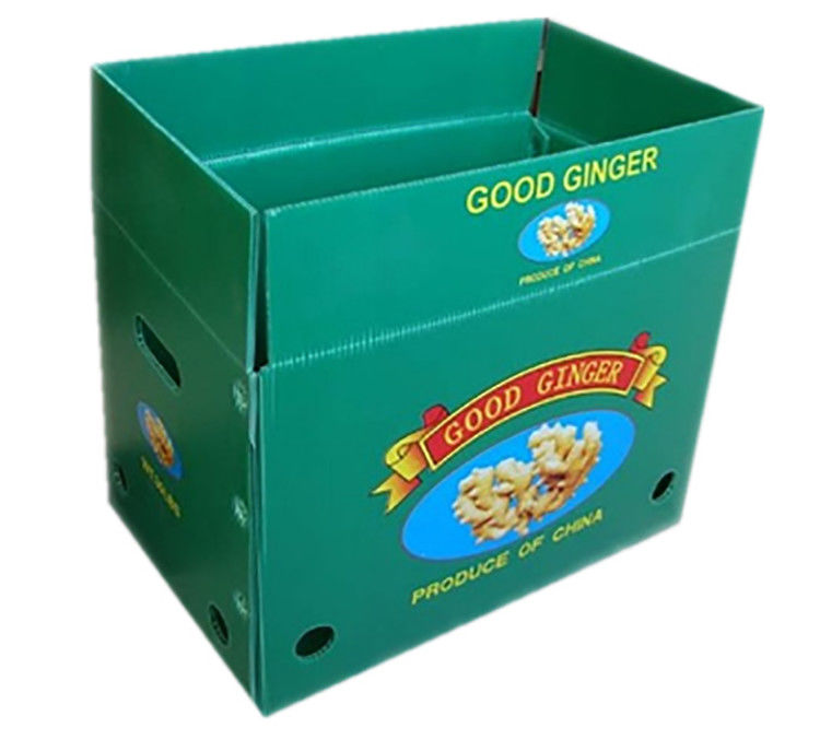 Emballage de fruits et légumes en carton PP en plastique Boîtes d'emballage de raisins Boîtes de brocoli en plastique Feuille de gingembre ondulée