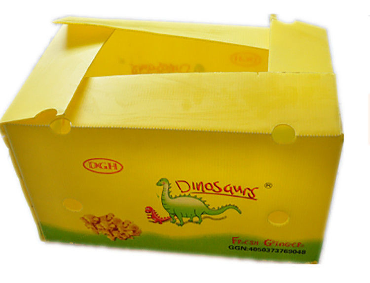 Emballage de fruits et légumes en carton PP en plastique Boîtes d'emballage de raisins Boîtes de brocoli en plastique Feuille de gingembre ondulée
