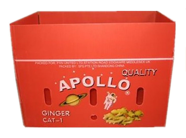 Emballage de fruits et légumes en carton PP en plastique Boîtes d'emballage de raisins Boîtes de brocoli en plastique Feuille de gingembre ondulée