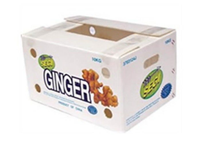 Emballage de fruits et légumes en carton PP en plastique Boîtes d'emballage de raisins Boîtes de brocoli en plastique Feuille de gingembre ondulée